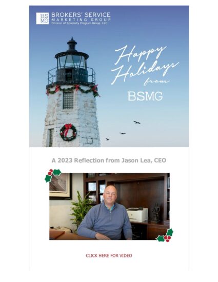 Happy Holidays from BSMG. Plus our 2024 Tax Guide!