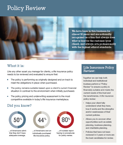 Policy Review Brochure